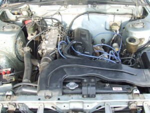 Nissan Pintara